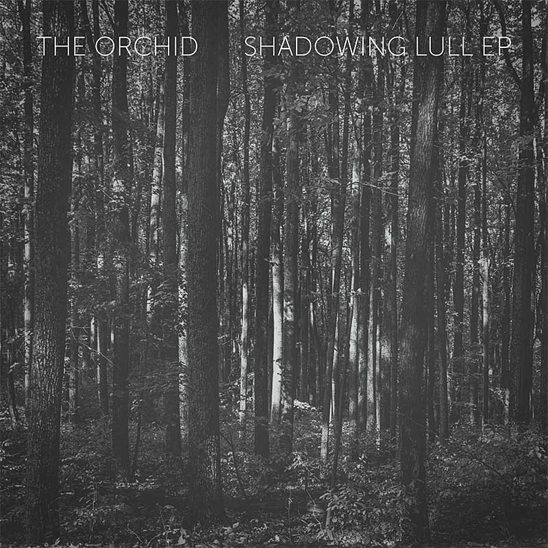 Shadowing Lull EP cover art